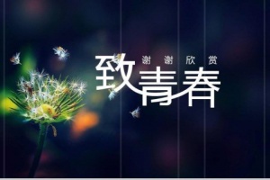 东莞夜场招聘,东莞兼职招聘,内签保底确保收入